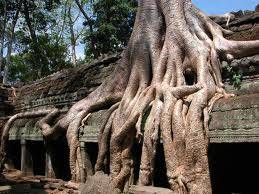 Khám Phá Đất Nước Chùa Tháp Phnômpênh - Siêm Riệp - Khám phá văn hóa và cảnh quan thiên nhiên tuyệt đẹp.