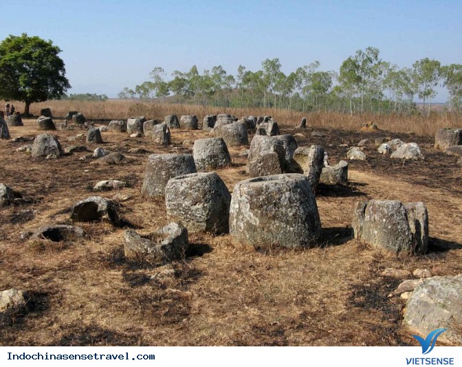 Phonsavan lững lờ trên những đám dã quỳ vàng rực - Ảnh 4