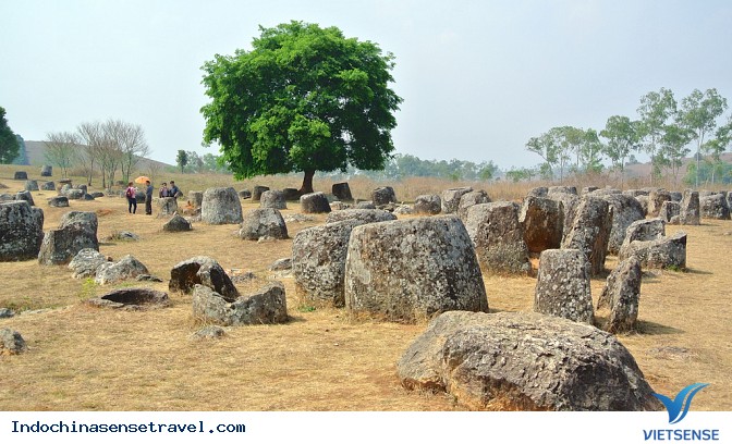 Phonsavan lững lờ trên những đám dã quỳ vàng rực - Ảnh 3