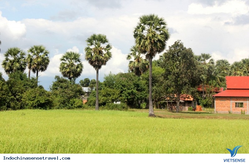 5 Trải Nghiệm Tuyệt Vời Cho Bạn Khi Tới Campuchia - Ảnh 5 5 Trải Nghiệm Tuyệt Vời Cho Bạn Khi Tới Campuchia - Ảnh 5