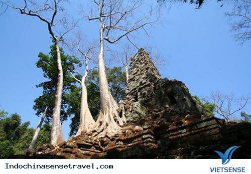 10 Ngôi Đền Nên Đến Nhất Tại Siem Reap 10 Ngôi Đền Nên Đến Nhất Tại Siem Reap