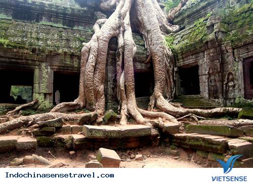 10 Ngôi Đền Nên Đến Nhất Tại Siem Reap 10 Ngôi Đền Nên Đến Nhất Tại Siem Reap