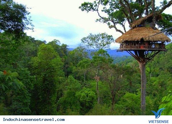 Bokeo - Khu bảo tồn tự nhiên Lào - Ảnh 1