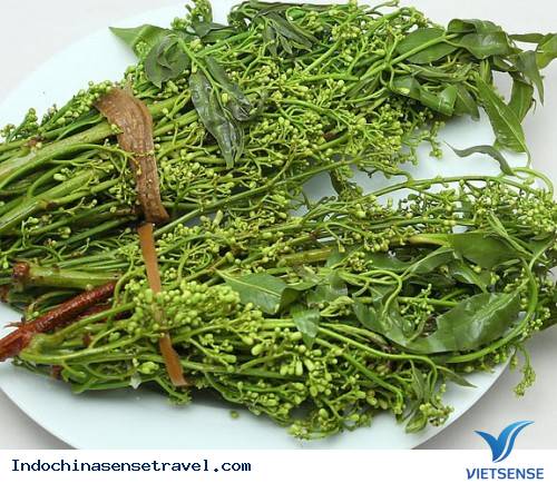 Các Món Ăn Ngon Hấp Dẫn Tại Campuchia