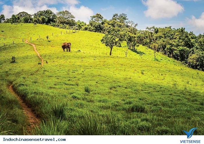 Cao nguyên Mondulkiri Campuchia - Ảnh 1 Cao nguyên Mondulkiri Campuchia - Ảnh 1