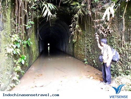 Những vết tích sót lại giữa đại ngàn xanh thẳm