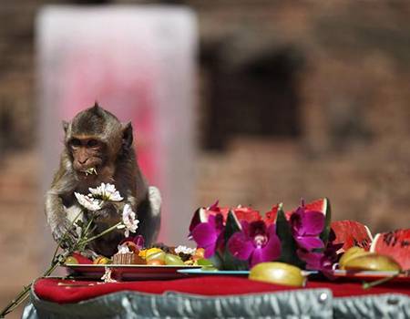 Điểm Danh 10 Lễ Hội Độc Đáo ở Thái Lan Điểm Danh 10 Lễ Hội Độc Đáo ở Thái Lan