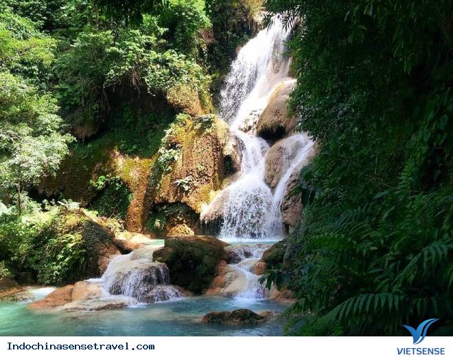 Khám phá vẻ đẹp thác nước đẹp nhất Luang Prabang - Ảnh 3 Khám phá vẻ đẹp thác nước đẹp nhất Luang Prabang - Ảnh 3