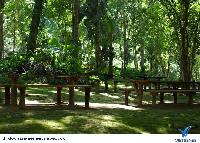 Khám phá vẻ đẹp thác nước đẹp nhất Luang Prabang - Ảnh 2 Khám phá vẻ đẹp thác nước đẹp nhất Luang Prabang - Ảnh 2