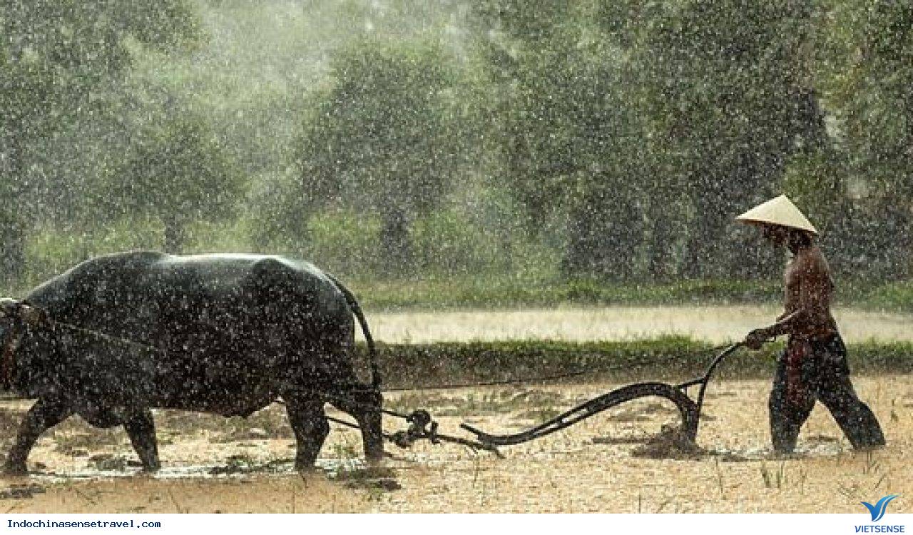 ký sự bắc việt thượng lào