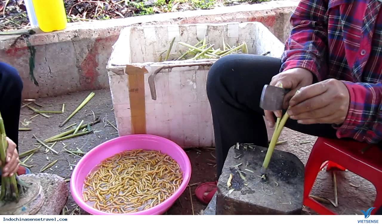 ký sự bắc việt thượng lào