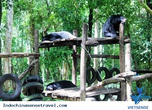 ký sự bắc việt thượng lào