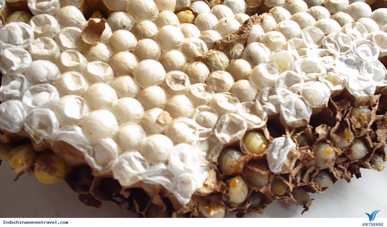 ký sự bắc việt thượng lào