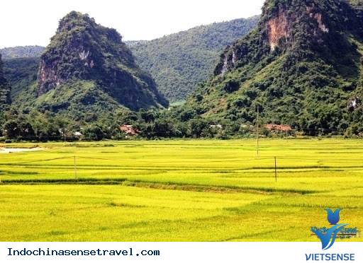 KÝ SỰ chương trình
 BẮC VIỆT - THƯỢNG LÀO