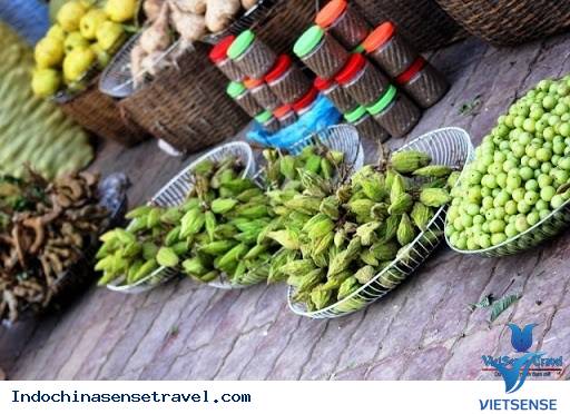 KÝ SỰ hành trình BẮC VIỆT - THƯỢNG LÀO