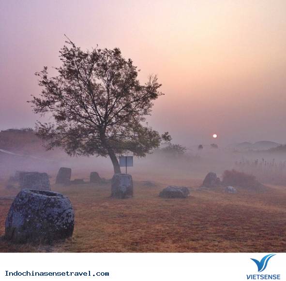 Cánh đồng chum Cánh đồng chum