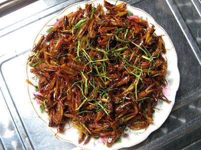 Món Ăn Ưa Thích Của Người Lào