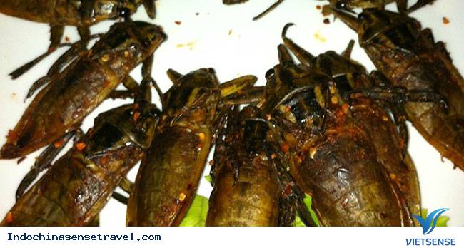 Cà Cuống - đặc sản Lào