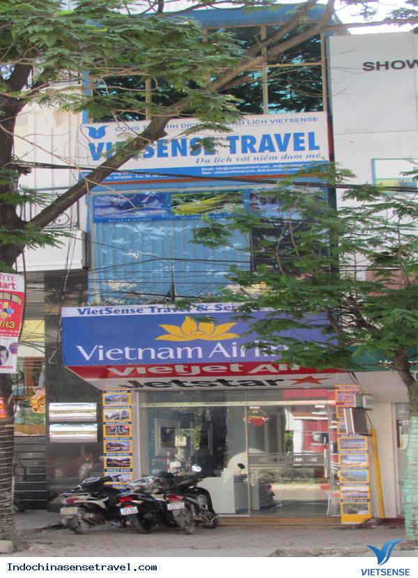 QUÁ TRÌNH HÌNH THÀNH VÀ PHÁT TRIỂN CỦA CÔNG TY CỔ PHẦN VIETSENSE - Ảnh 7