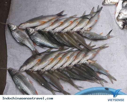 Khu chợ Việt trên đất nước bạn Lào