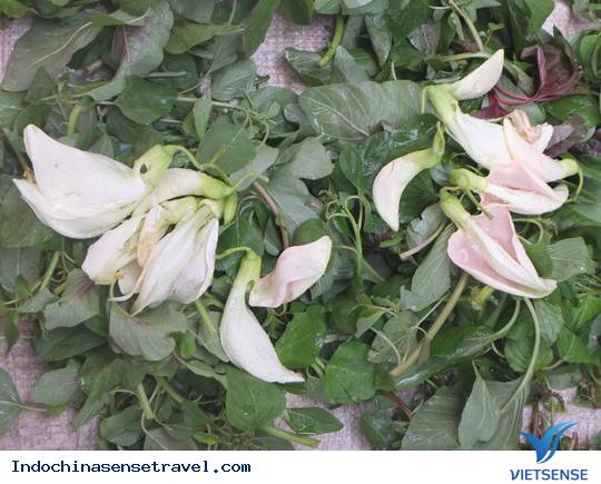 Khu chợ Việt trên đất nước bạn Lào