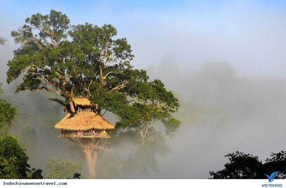 Tìm về Bokeo – Bò Kẹo Lào - Ảnh 2