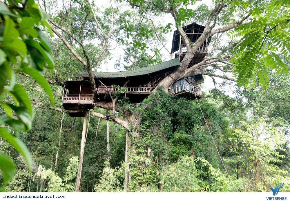 Tìm về Bokeo – Bò Kẹo Lào - Ảnh 4