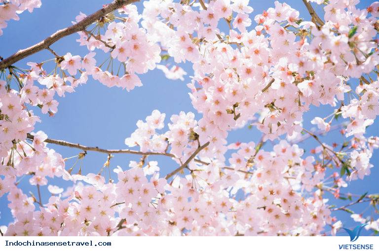 Tình bạn Việt – Lào thông qua Viêng Xay - Ảnh 4 Tình bạn Việt – Lào thông qua Viêng Xay - Ảnh 4